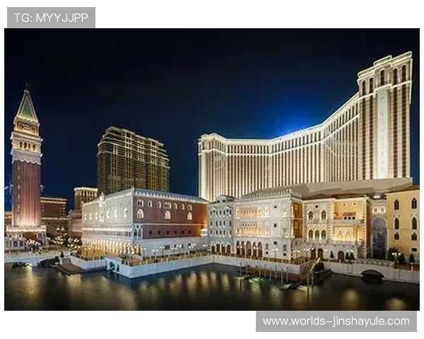 永利澳门和金沙中国的娱乐设施与服务质量详解，满足不同客户的多样化需求