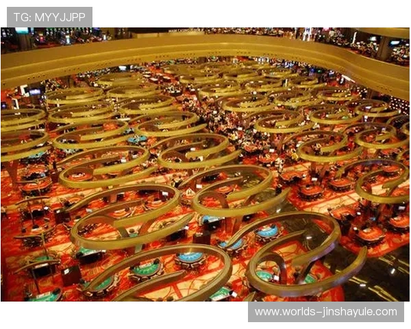 新加坡金沙娱乐场的安全措施与隐私保护政策详尽解读