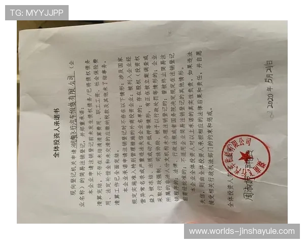 金沙中国有限公司代码最新查询方法及详细介绍帮助玩家快速了解公司代码信息