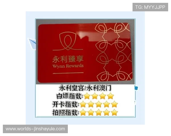 澳门新濠场子数量及分布情况，提供最新的场所信息和娱乐攻略指南