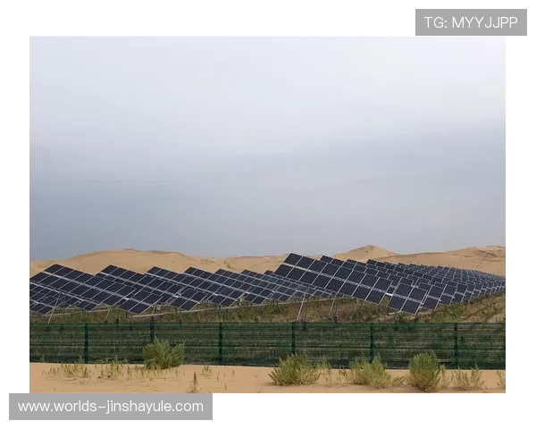 金沙中国有限公司的财务表现与股价走势的关系及未来潜力分析